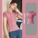 Yoga top, short sleeves, round neck, 6 colors to choose from, sports, fitness, breathable, sweat absorbent, durable, stylish, simple, slimming, stylish, retro, fashionable, S~XXXL