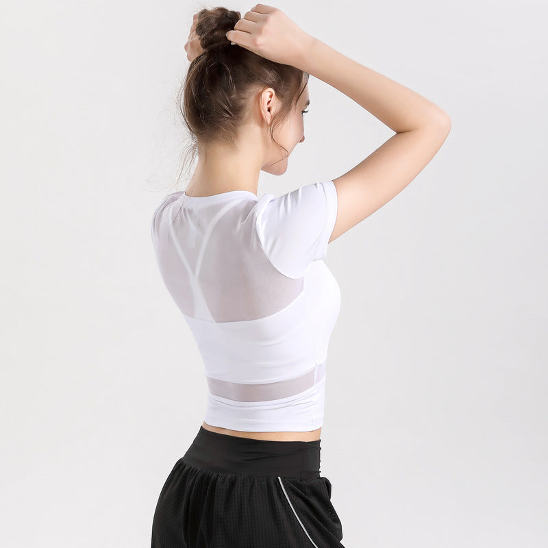 Short sleeve yoga top, round neck, solid color, 4 colors to choose from, tulle, simple, sweet, cute, S~XL