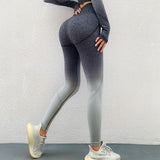 Leggings, yoga bottoms, gradation, 6 colors to choose from, high waist, sports, stylish design, hip lift, this season's trend, yoga wear, peach butt, S~L